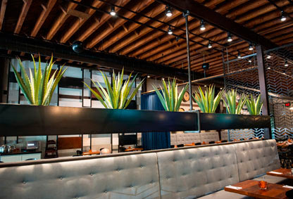 Gallery | Welcome to Memo's Cocina